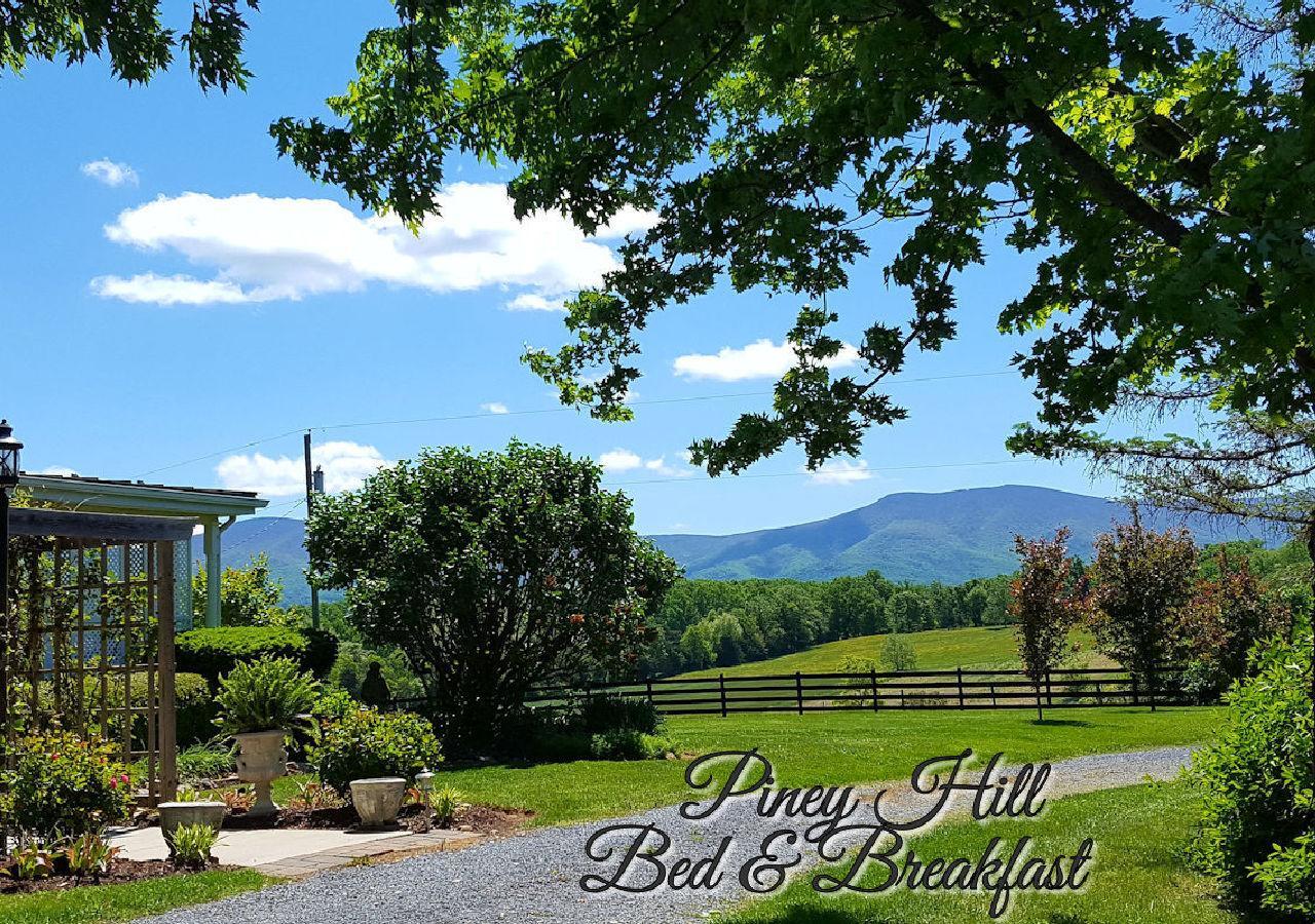 Piney Hill B & B And Cottages Luray Exterior foto