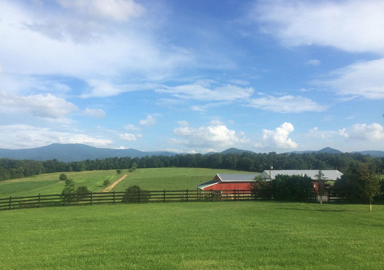 Piney Hill B & B And Cottages Luray Exterior foto